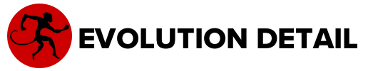 Evolution Detail